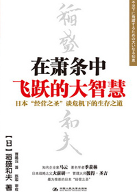 在萧条中飞跃的大智慧封面