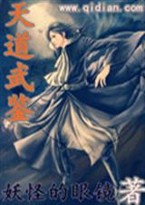天道武鉴封面