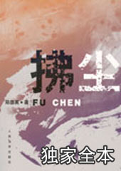 拂尘封面