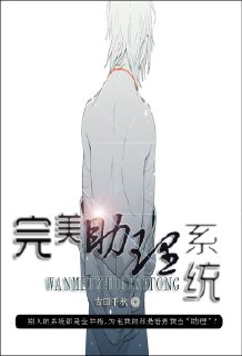 完美助理系统封面