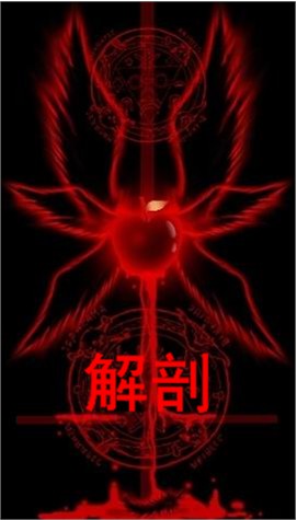 解剖封面