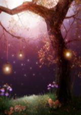 �κ�Ĭ����