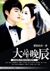 大婚晚辰[高干]封面