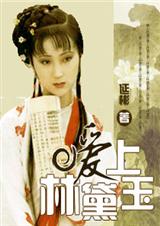 (红楼梦同人)爱上林黛玉封面