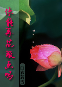 你能再花瓶点吗封面
