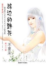 ·�ߵ�Ұ����Ҫ��