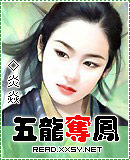 五龙夺凤封面