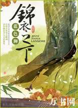 锦衣之下封面