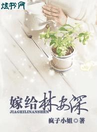 嫁给林安深封面