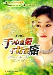 手心是爱手背是痛封面