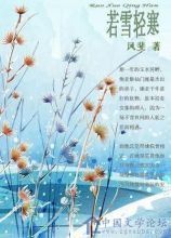 若雪轻寒封面