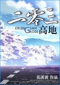 二零三高地封面