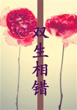 ˫