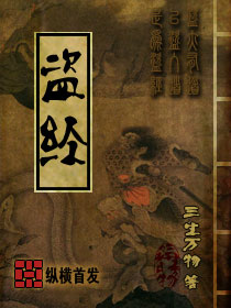 盗经封面