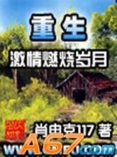 重生之激情燃烧岁月封面