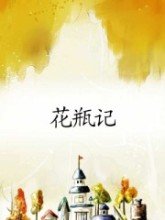 花瓶记封面