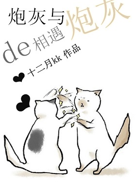 炮灰与炮灰的相遇封面