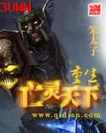重生亡灵天下封面