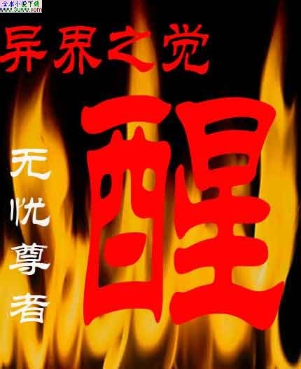 异界之觉醒封面