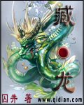 臧龙封面