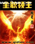全职领主封面