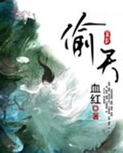 偷天封面