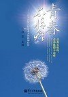 经历青春封面