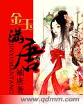 金玉满唐封面
