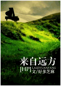 [hp]来自远方封面