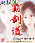 霸剑道封面