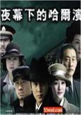 夜幕下的哈尔滨 夜幕下的哈尔滨