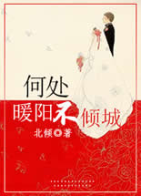 何处暖阳不倾城封面