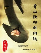 青山独归斜阳远封面