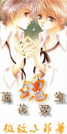 莲花双生魂封面