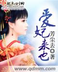 爱妃来也封面