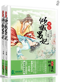 独宠倾城男妃封面