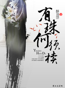 有珠何须椟封面