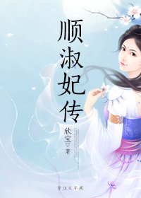 顺淑妃传封面