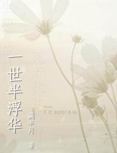 一世半浮华封面