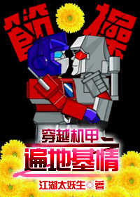 穿越机甲之遍地基情封面