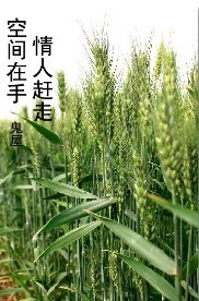 空间在手,情人赶走封面