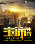 宝谛独辉封面