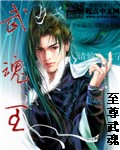 武魂王封面
