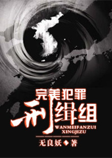 完美犯罪封面