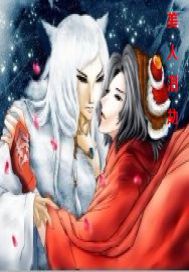美人泪劫封面