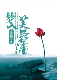 梦入芙蓉浦封面
