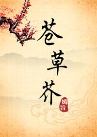 苍草芥 苍草芥
