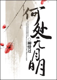 何处无月明 何处无月明