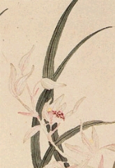 软香 软香