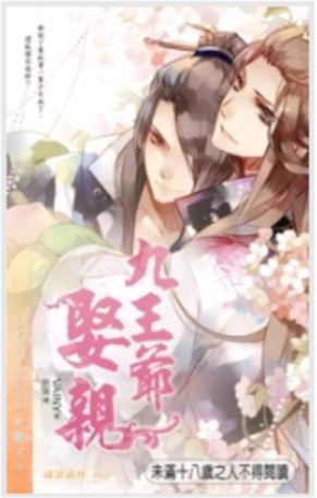 九王爷娶亲封面